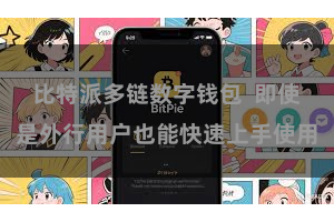比特派多链数字钱包  即使是外行用户也能快速上手使用